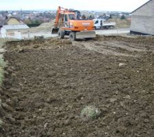 La v&eacute;g&eacute;tale est d&eacute;cap&eacute;e