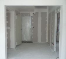 30/05/11 : bandes - entrée