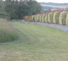 Terrain de z-guner7(1)