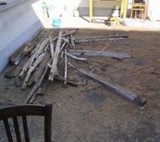 Voila ce qu'ils font pendant que je suis au boulot!!! Plein de salet&eacute;s!