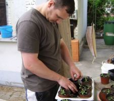 Pendant ce temps, ch&eacute;richou pr&eacute;pare les plantes pour le futur jardin :)