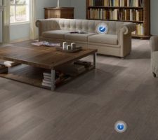 Parquet du bureau