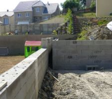 The mur
