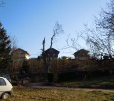 ça y est le tilleul est "désossé" on peut le faire tomber!