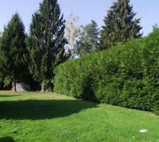 Et voil&agrave; le fond du terrain.