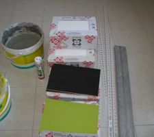 Faïence toujours pas commencée mais arrivée au moins celle pour la salle d'eau du RDC, elle sera chocolat verte et blanche