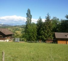 C&ocirc;t&eacute; sud du terrain ( future vue depuis la terrasse...)