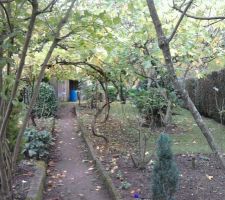 Notre terrain est un ancien potager, nous l'avons achet&eacute; dans cet &eacute;tat, au d&eacute;but difficile de visualiser notre maison...