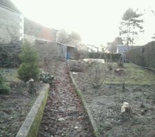 Nous avons nous-m&ecirc;me coup&eacute; les arbres, le terrassier se chargera de retirer les souches. beaucoup beaucoup de boulot ! en plein hiver en plus ^^