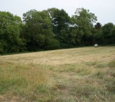 Le terrain avant la construction