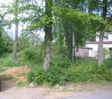 Terrain toujours en friche 4 ans apres,photo prise pour le plan perspective d'architect