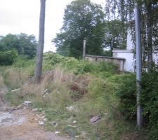 Terrain en friche