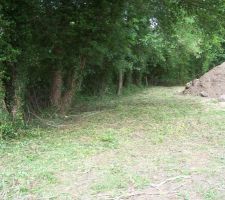 Le terrain apr&egrave;s taillage de la haie et d&eacute;broussaillage. Pr&ecirc;t pour planter la cloture.