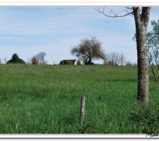 Entr&eacute;e Sud Est du terrain