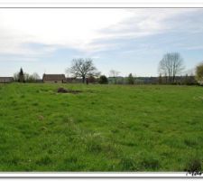 Vue du terrain depuis le verger