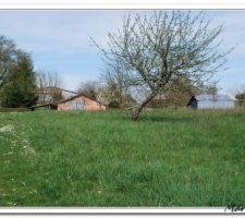 Vue du terrain depuis l'entr&eacute;e