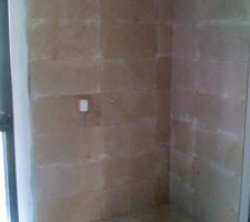 Douche salle de bain des parents