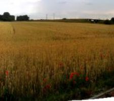 Une petite vue panoramique (avec l'iphone...) du terrain. 32m de façade sur une soixantaine de long.
Le compromis a été signé lundi, on attends le retour des vendeurs.