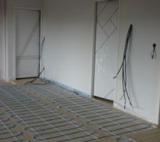 Salon avec couloir au fond à gauche, bureau en face, et cellier à droite