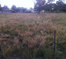 Implantation de la maison