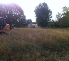 Piquets perdus au milieu des herbes...