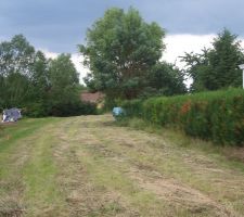 Terrain nettoyé vu de devant