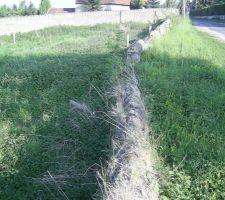 Le vieux mur que je doit d&eacute;molir;
il est en tres mauvaise etat.
il sera remplacer par une cloture classique:mur en agglo et grillage!!!