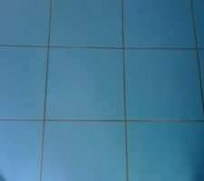 Sol de la salle d'eau chambre parentale