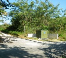 Photo du terrain avant d&eacute;broussaillage