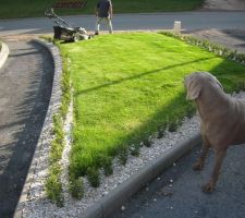 1ère tonte de la pelouse: pas facile car notre terrain n'était pas bien plat !!