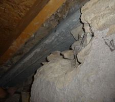 En place, les rector !