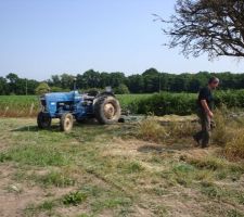 Un petit nettoyage du terrain s'imposait