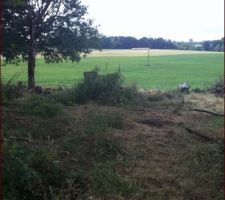 Avant le nettoyage...