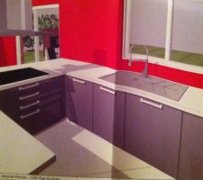 Couleur gris anthracite sur plan de travail blanc laquée de chez shmitz
electromenager neff