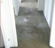 Parti nuit bien attaquer