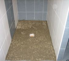 Joint des galets de douche ai !