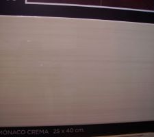 Carreau faience creme WC