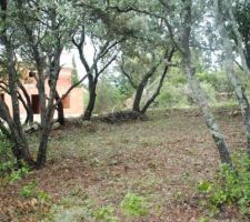 Vue de la maison &agrave; partir du sous bois d&eacute;gag&eacute;