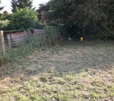 Une speciale dedicasse a gigi (mon petit frangin) pour le remercier du debrousaillage qu il a effectué) merci min gros.