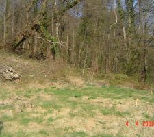 Vue sur l'arri&egrave;re du terrain: le bois. Les arbres pench&eacute;s que l'on voit sur le clich&eacute; ont &eacute;t&eacute; coup&eacute;s en d&eacute;but d'ann&eacute;e 2011. Il a fallu retrouver les propri&eacute;taires (environ 27). Initialement Les commerciaux du constructeur nous ont certifi&eacute;s qu'ils s'agissait d'un bois communal et que le n&eacute;cessaire serait fait par la mairie avant le d&eacute;but du chantier et en avril 2009 on y croyait fortement. Notre parcelle de terrain touche 2 voire 3 propri&eacute;taires du bois et la commune n'est en rien propri&eacute;taire. C'est le d&eacute;but de la confiance envers le constructeur .... Joker !!!!