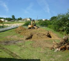 Les souches arrachés précédemment...