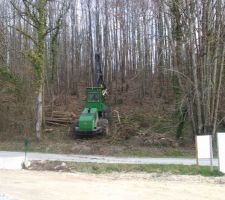 On a perdu une partie de la fôret en face de chez nous :(