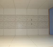 Carrelage de la douche