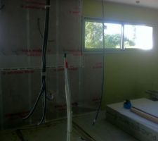 Plaques vertes==> pregyroc n'green qui absorbe les COV