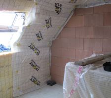 Laine de verre 100 200 et membrane vario