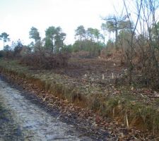 D&eacute;broussaillage