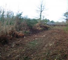 D&eacute;broussaillage avec la surprise d'&eacute;normes souches sur le terrain