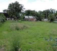 Le terrain