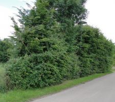 Le terrain vu de face