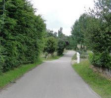 Le chemin menant à chez nous ! le terrain est à gauche derriere cette grande haie